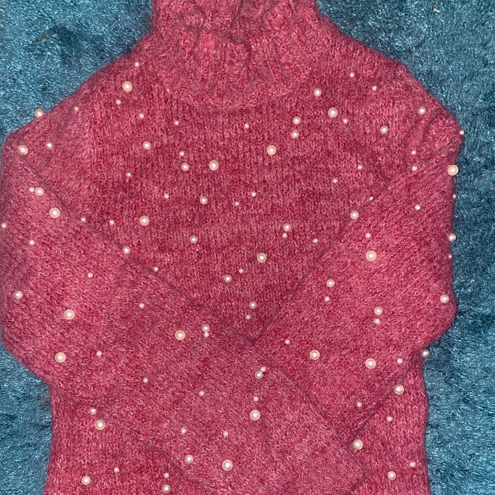 Pearl Turtleneck sweater